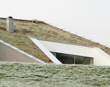 dom z trawnikiem na dachu whitemad13