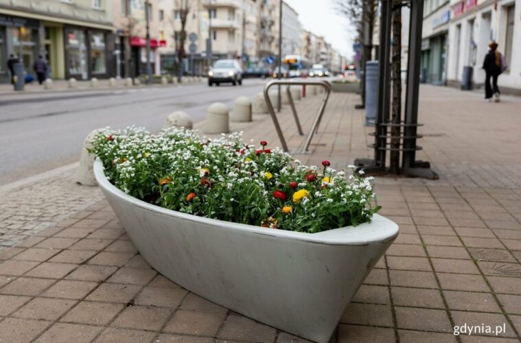Na ulicy Świętojańskiej znajduje się 80 donic w kształcie łódek z pięknymi kwiatami. // fot. Przemysław Kozłowski