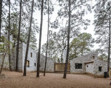Kamień, cement i drewno, czyli surowy dom w sercu lasu