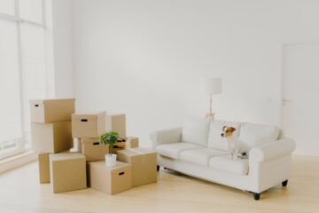 Photo of small dog on comfortable sofa poses in spacious living room, family personal belongings in packages, pile of carton parcels in empty room, light walls, big wondow. Moving Day in new home