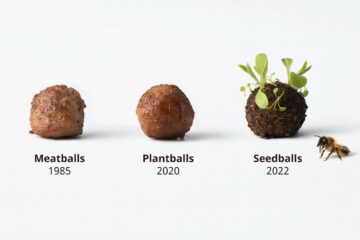 https___hypebeast.com_wp-content_blogs.dir_6_files_2022_04_ikea-meatballs-for-insects-swedish-seedballs-1