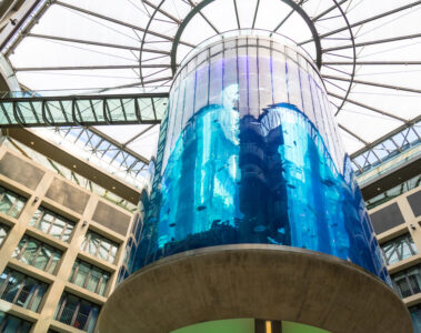 Największe na świecie akwarium cylindryczne, które znajdowało się w berlińskim hotelu Radisson Blu, pękło w piątek rano około godziny 6:30. Cylindryczny zbiornik zapełniający sześć pięter hotelowego