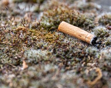 A closeup shot of a used cigarette thrown on the grass ground