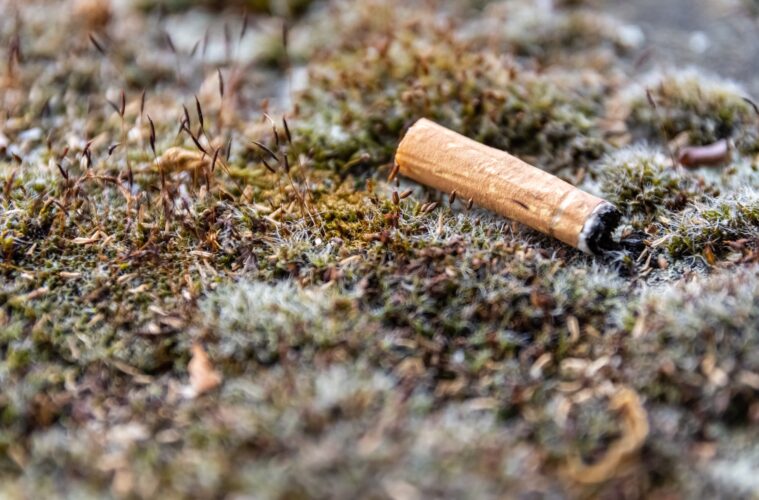 A closeup shot of a used cigarette thrown on the grass ground