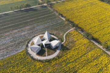 Library in Chrysanthemum Field @Zhang Chao (01)