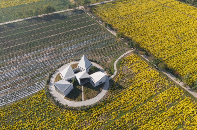 Library in Chrysanthemum Field @Zhang Chao (01)
