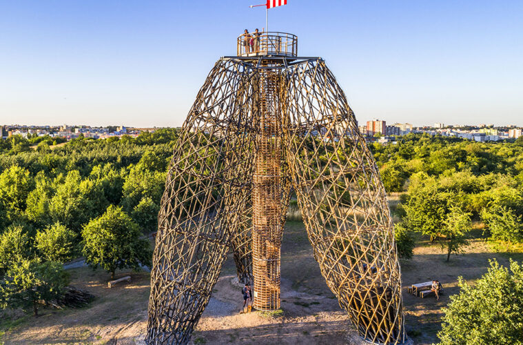 Wieża widokowa Doubravka 1 whitemad