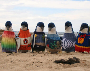 oldest-man-australia-knits-penguin-sweaters-1