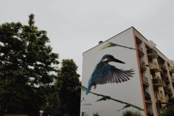 ptasie murale w krakowie3