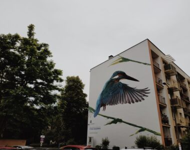 ptasie murale w krakowie3