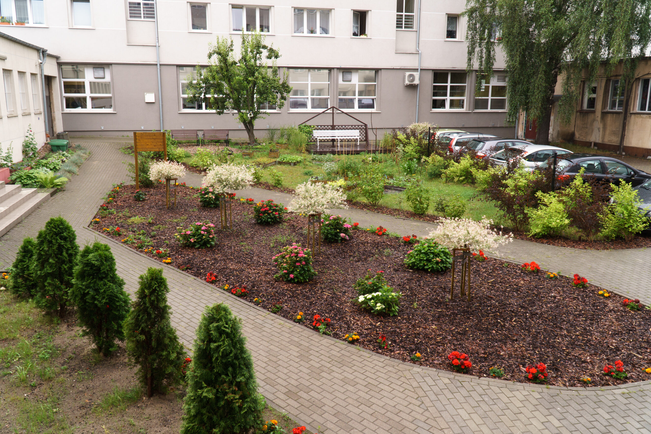 ogród społeczny w Gdyni