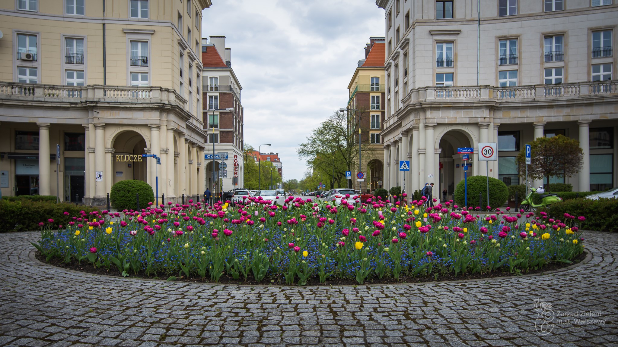 tulipanów