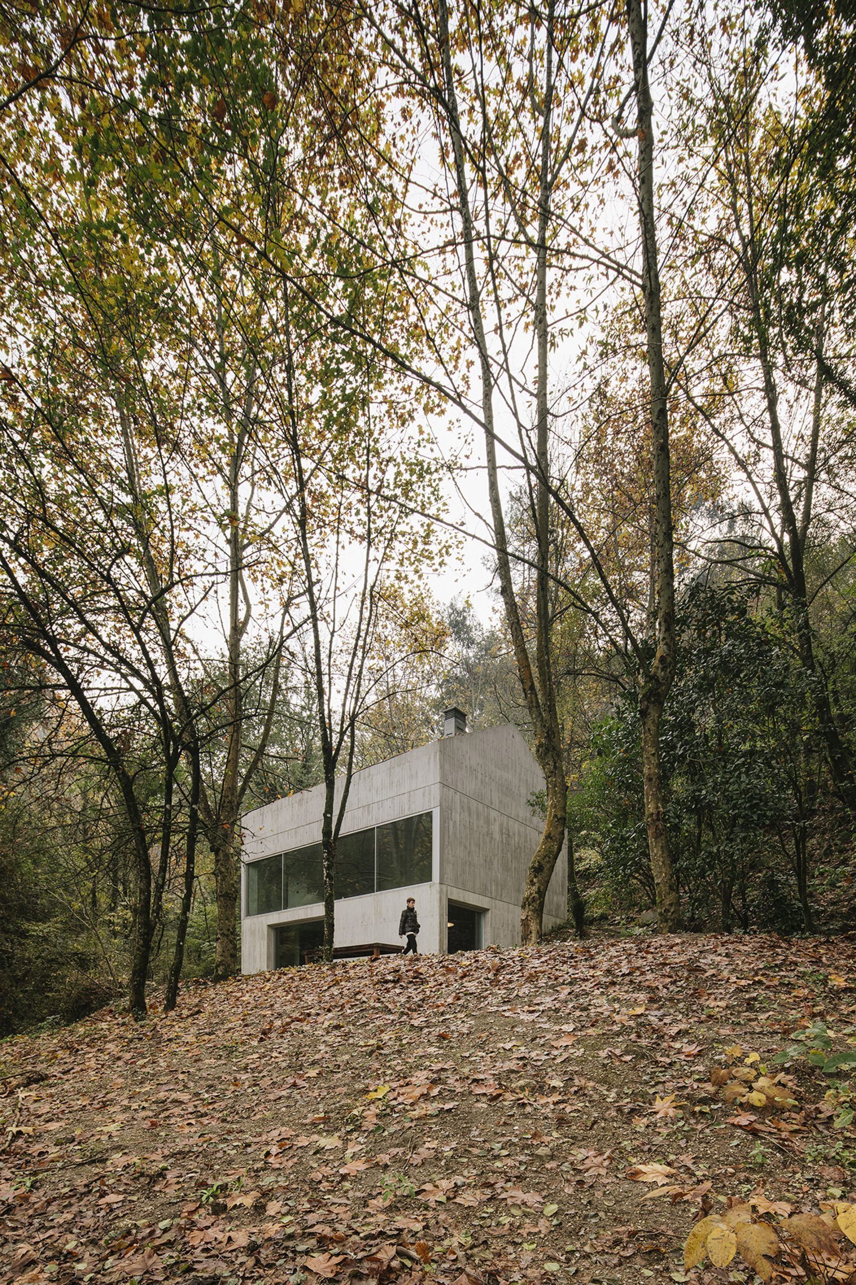 Betonowy dom w lesie