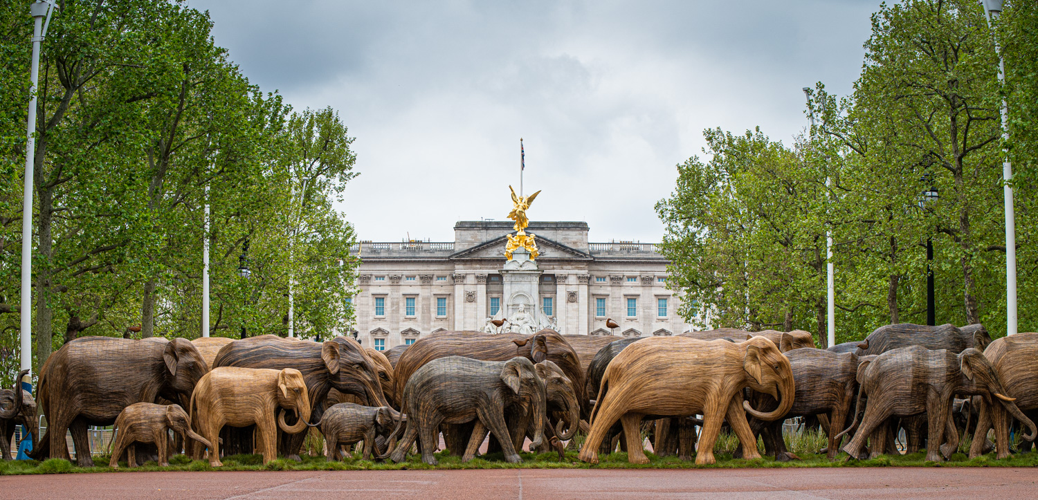 słonie w Londynie