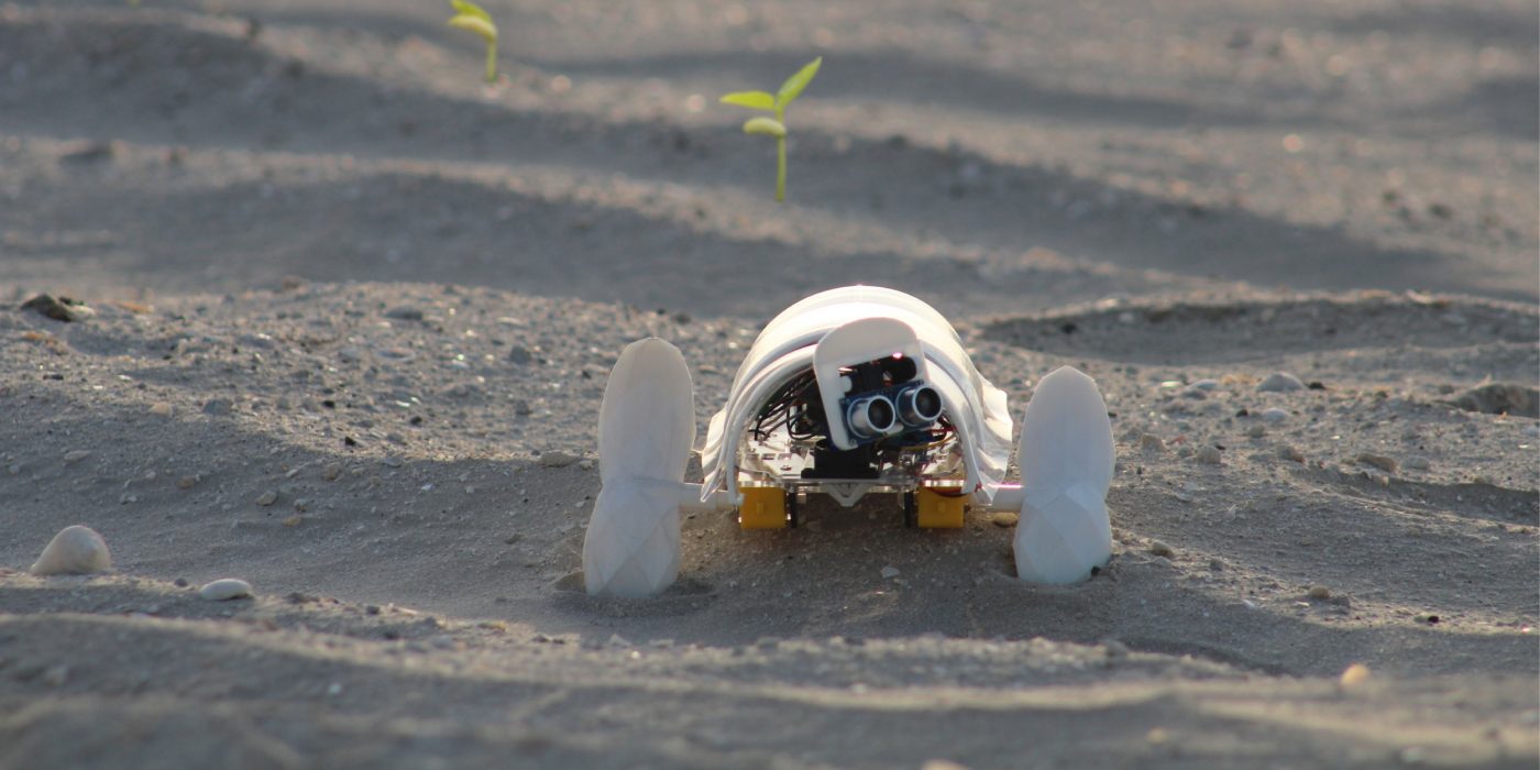 Nasionobot autonomiczny robot zmieni pustynie w oaze