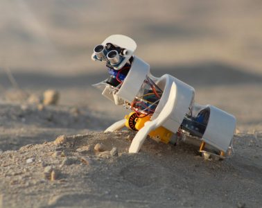 Nasionobot autonomiczny robot zmieni pustynie w oaze