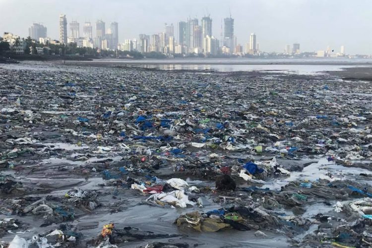 Oczyścili plażę w Indiach