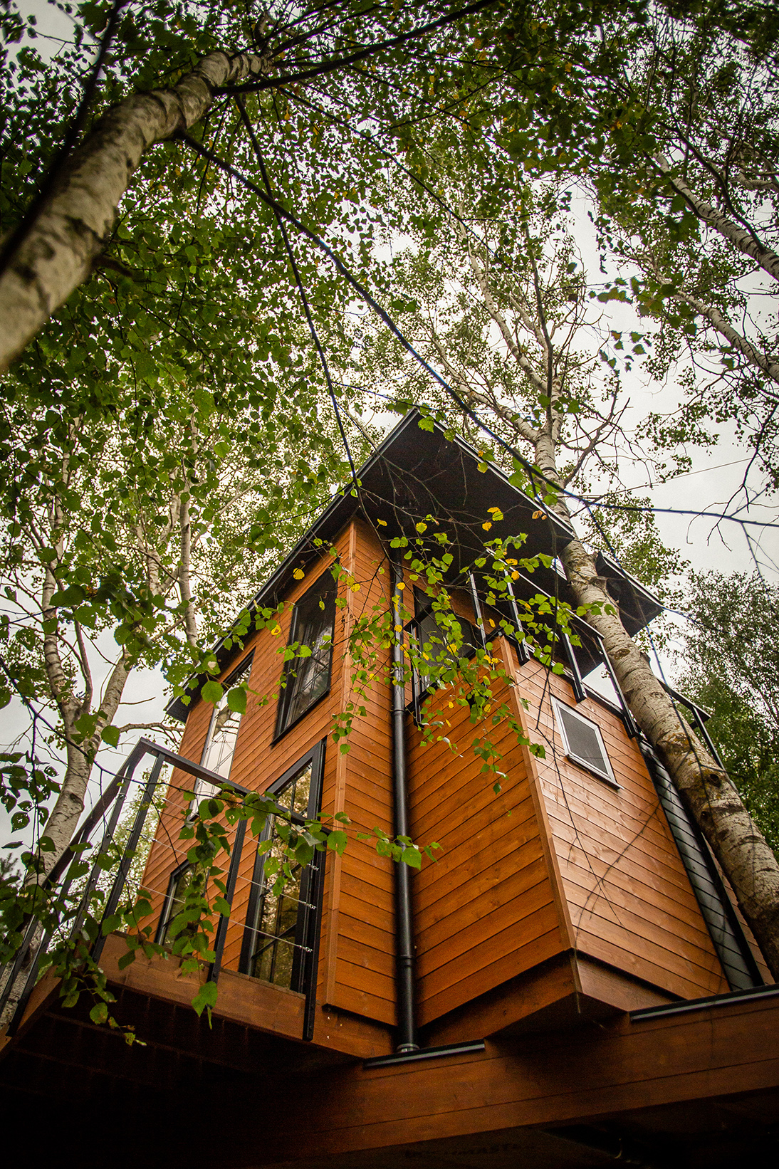 Na Łośmiu Metrach – domek na drzewie na Podlasiu