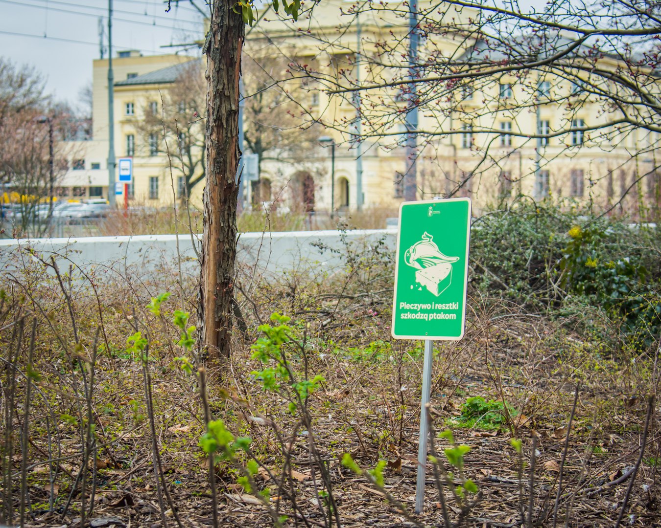 Proekologiczne tabliczki w Warszawie