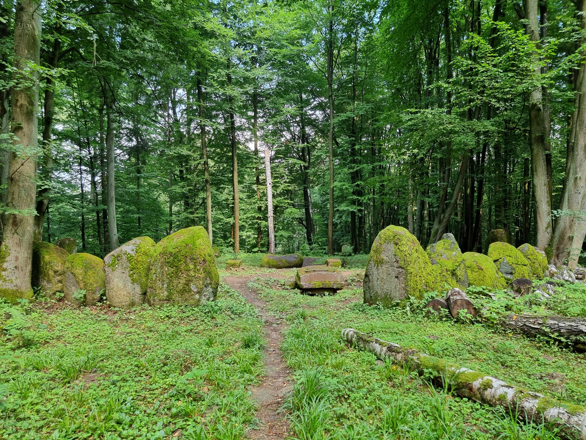 Cmentarz rodu Dohnów